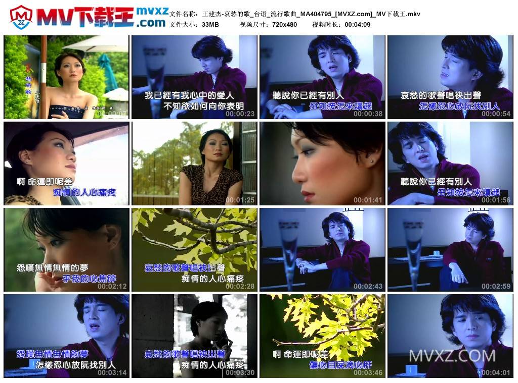 王建杰-哀愁的歌_台语_流行歌曲_MA404795